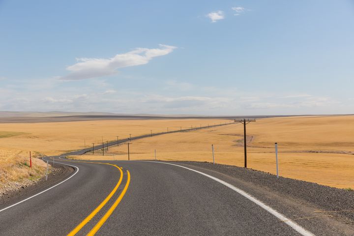 Wheat fields on the road from Echo to Heppner.