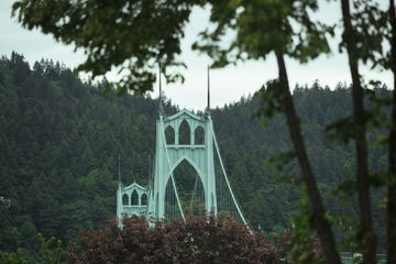 A northwest view of St. Johns Bridge in Portland, Oregon. The dark green trees of Forest Park fill out the frame behind the bridge.